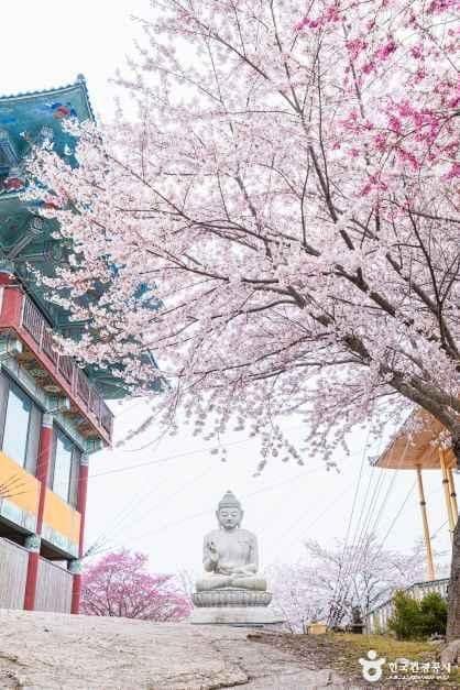 충남_태안_안면암_5.jpg