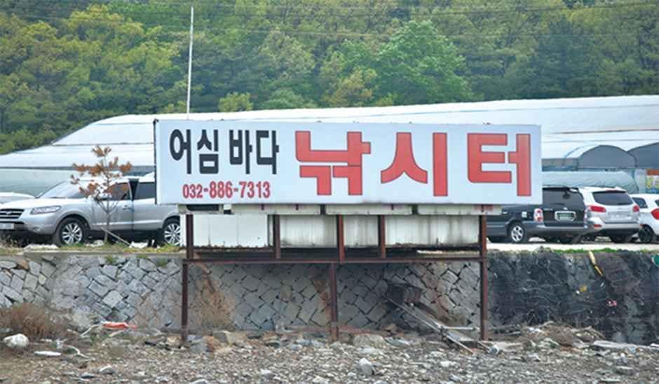 안산_[대부해솔길] 3코스 (1).jpg