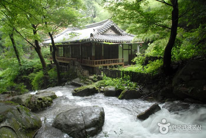 계룡산 갑사계곡