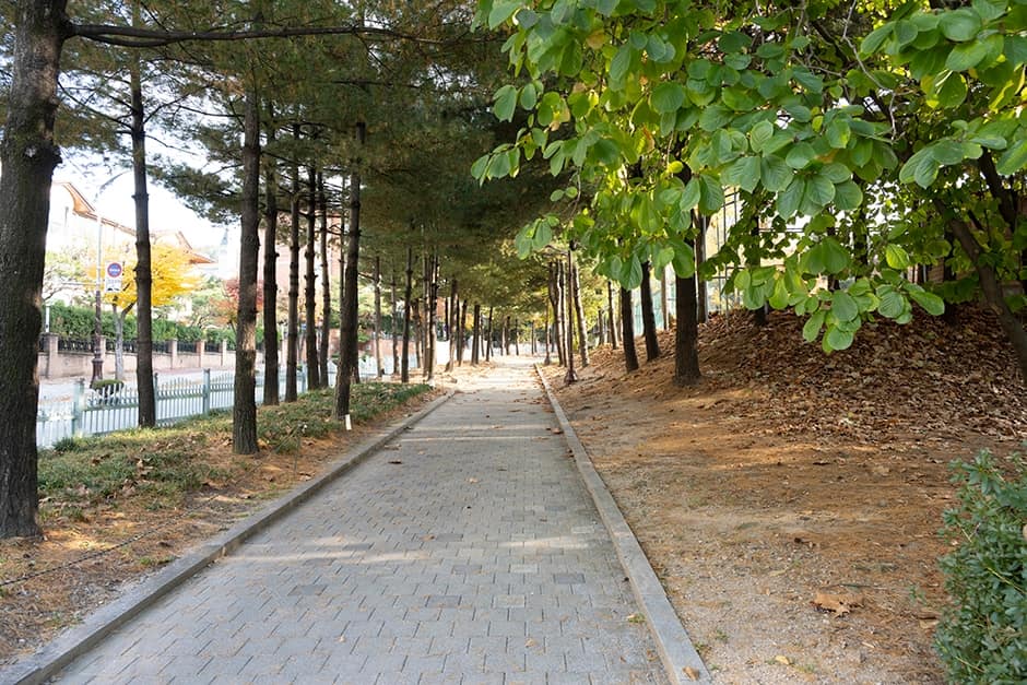 경기도_성남시_태현공원_산책로