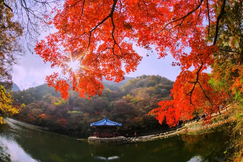 우화정(내장산) (1)