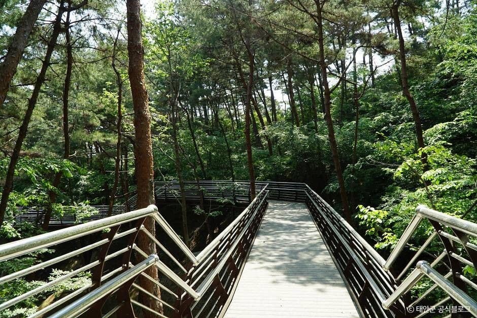 태안_백화산(태안) (5)
