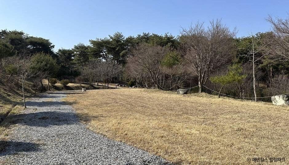 홍성_에덴힐스 힐링파크 (1)