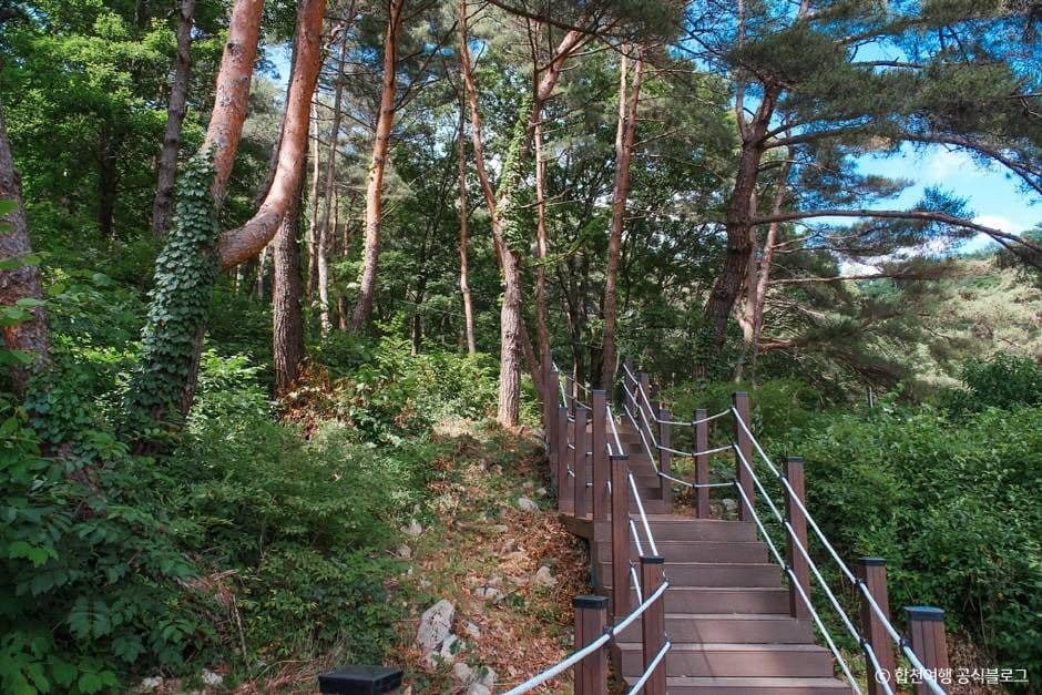 합천_오도산자연휴양림 (7)