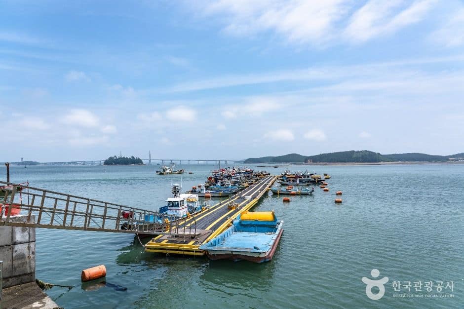 보령_초전항 (2)