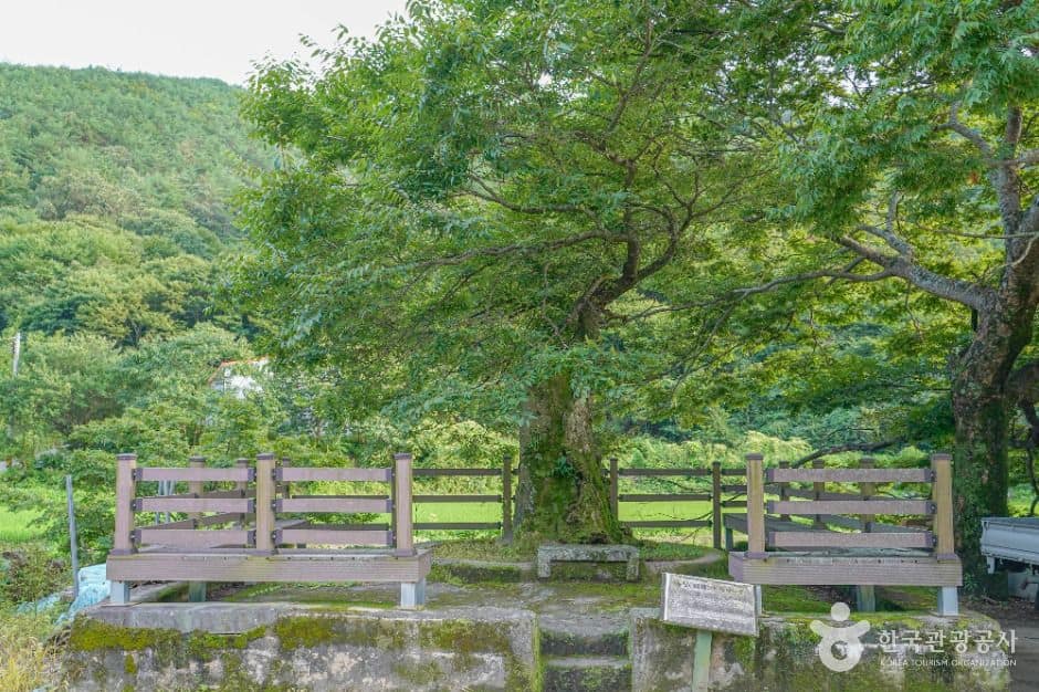 고성_무지돌이마을 (1)