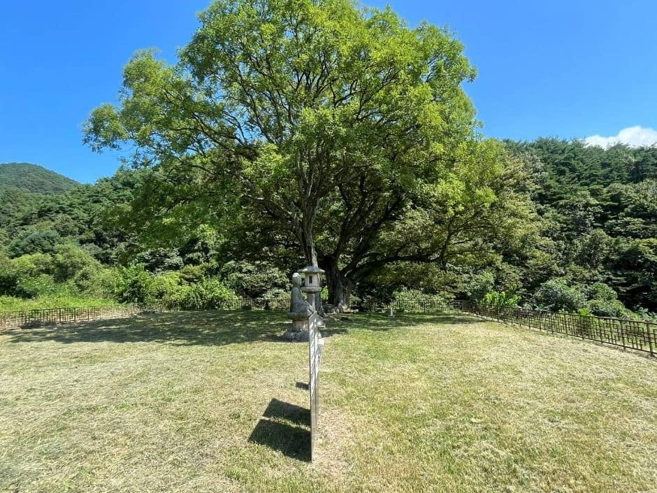 합천_합천 백암리 석등 (7)