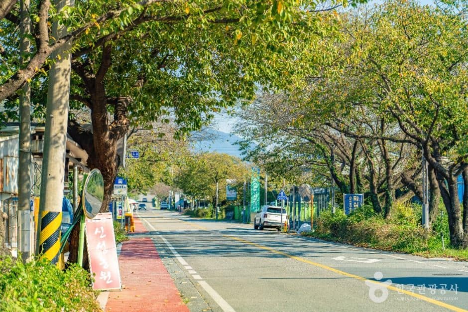 하동_하동명품배거리 (7)