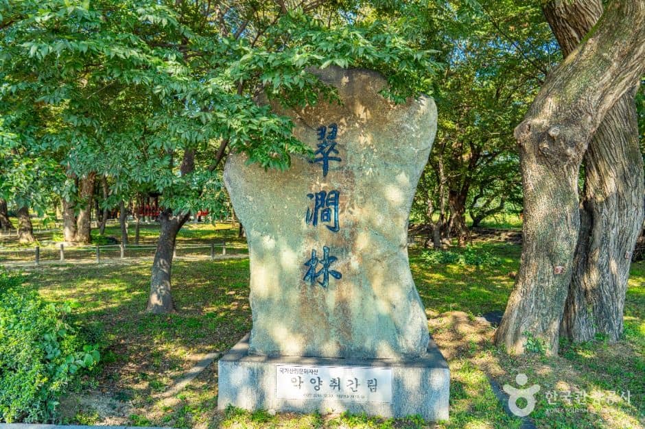 하동_악양 취간림 (1)