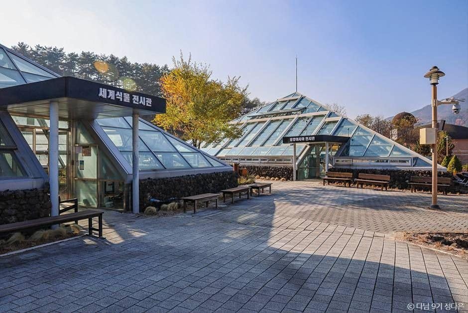 봉화 겨울 여행 가볼만한곳 분천산타마을 국립백두대간수목원 입장료 사과디저트 카페 추천_국립백두대간수목원_3-8