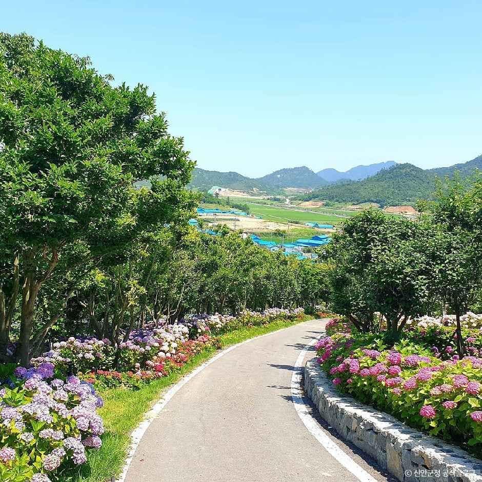 신안_환상의정원 (1).jpg
