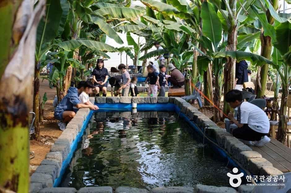 함평_함평바나나생태나라_내부_8.jpg