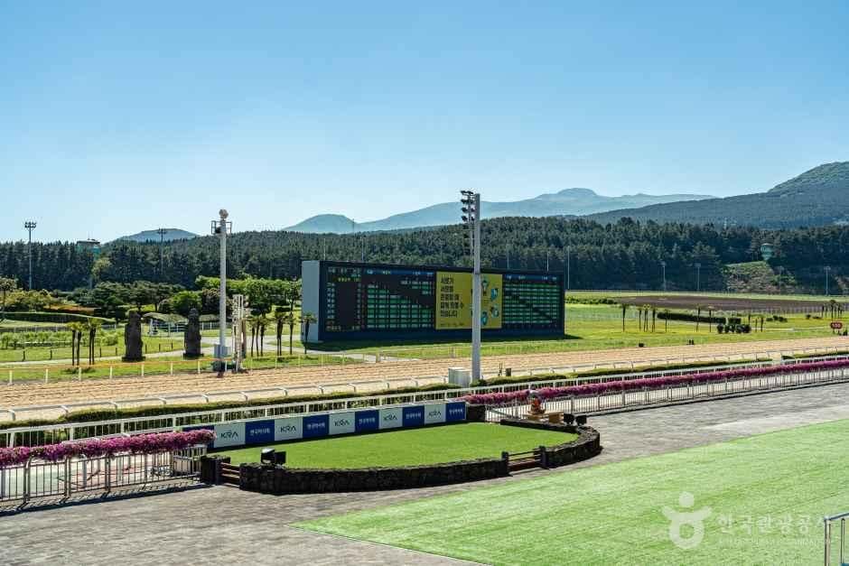 제주_말 테마파크 골프장 (렛츠런파크 제주) (6).jpg