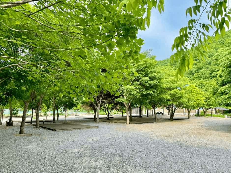 평창_해마루오토캠핑장 (1).png