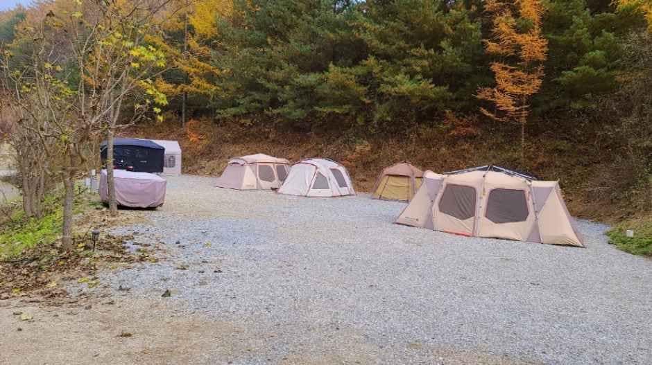 양평_양평숲 비룡캠프장 (8).jpg