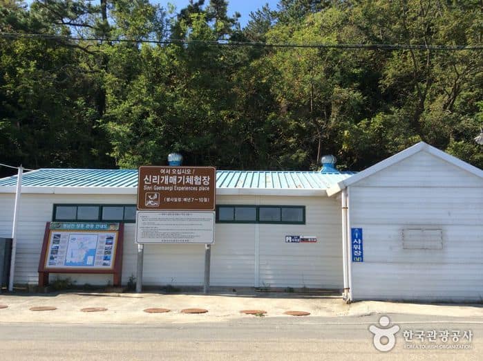 전남_장흥_신리어촌체험마을02