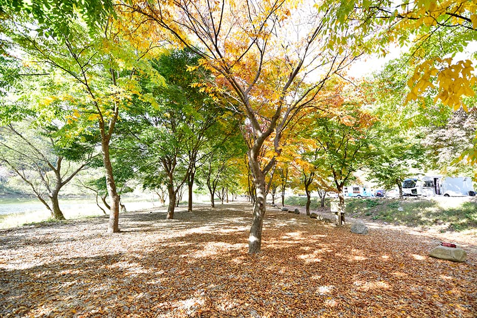 은빛물결캠핑장_전경3