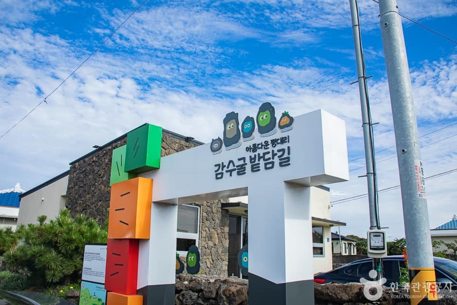 감수굴 밭담길 (1)