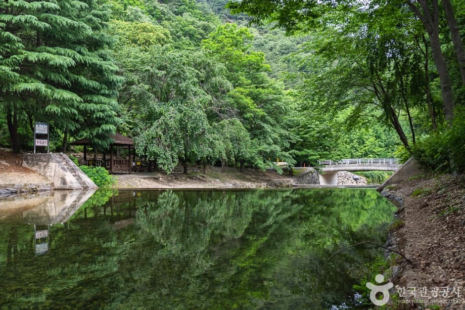 전북_완주_고산자연휴양림(6)