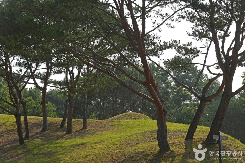 부여 능안골 고분군 (2)