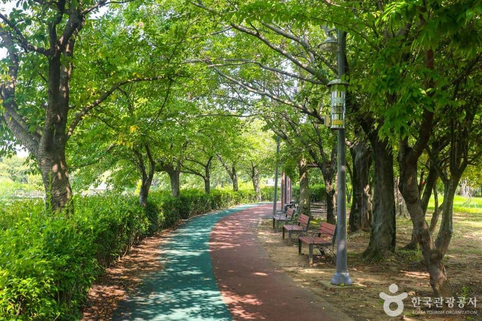 쌍암공원 (4)