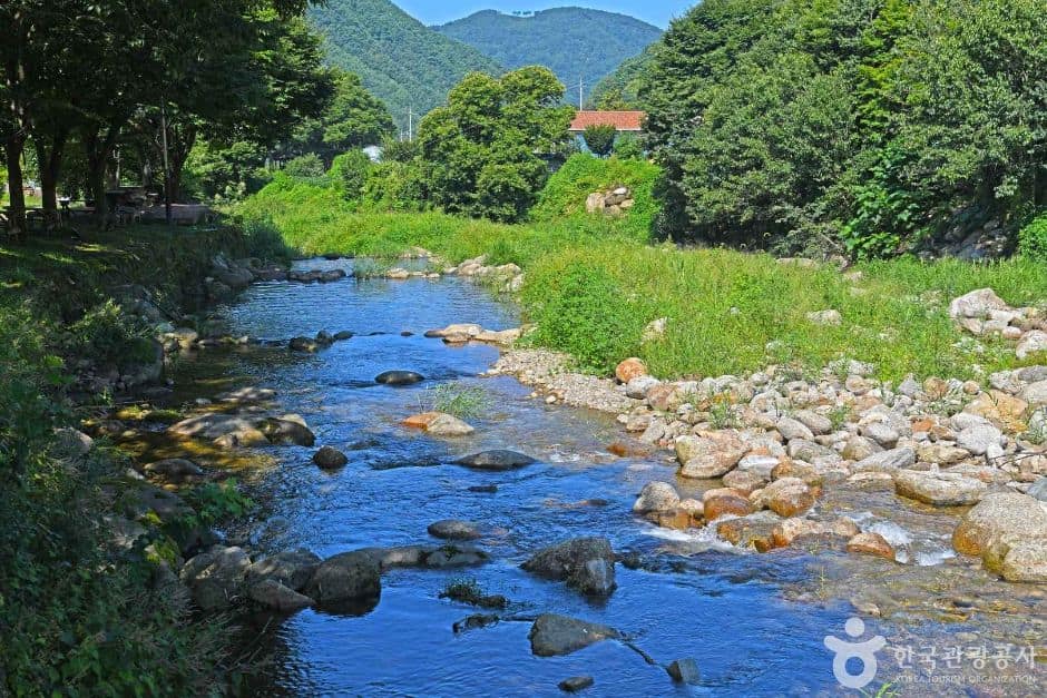 단양_한드미마을 (1)