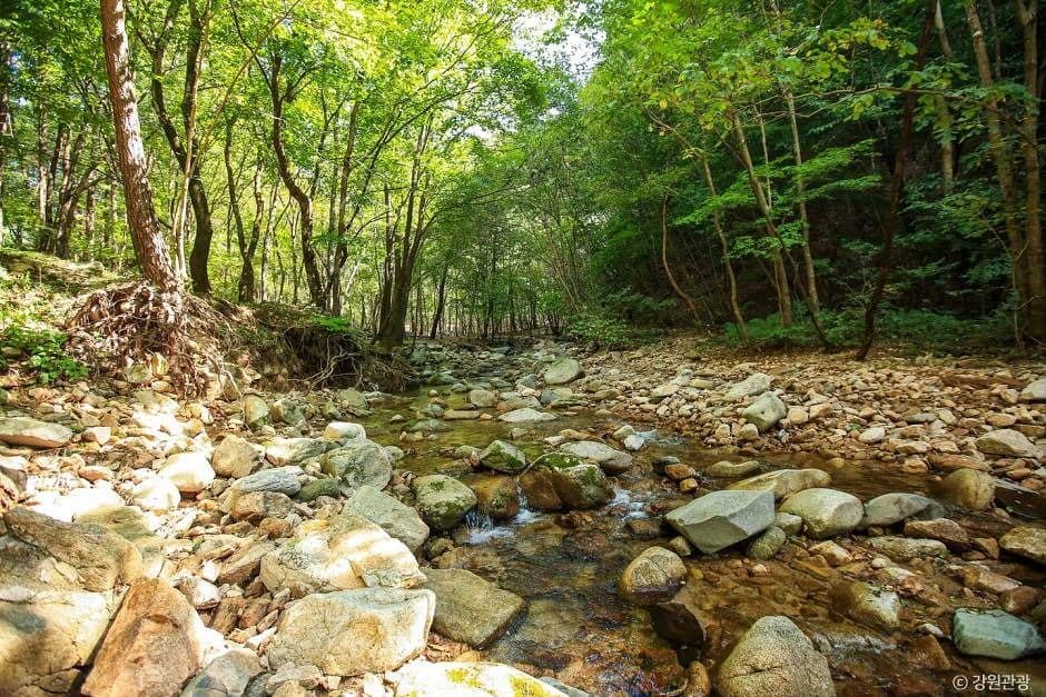 홍천_미약골 (3)