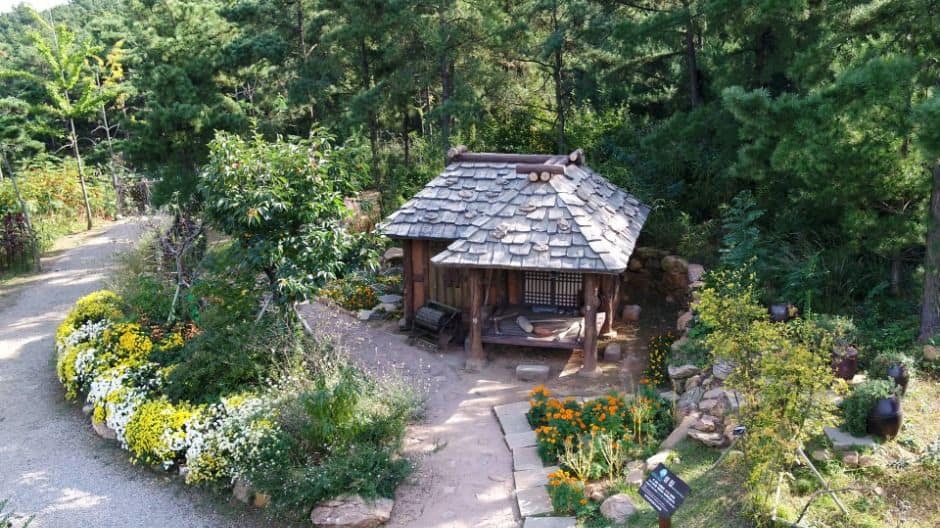 안산_바다향기수목원 (6)