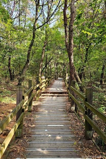 익산_미륵산(익산) (2)