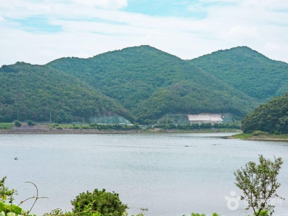 경주_하곡지 (4)