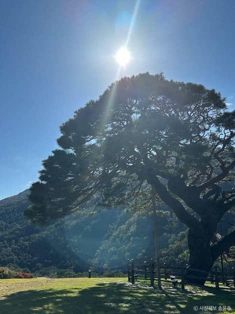 영월_단풍산 (2)