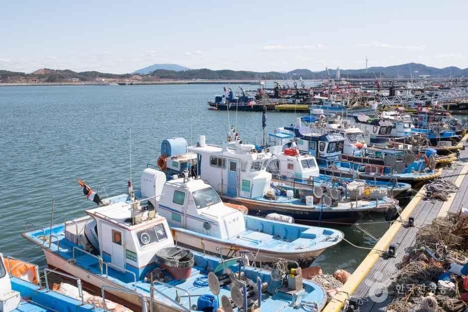 전북_군산_비응항_전경_5.jpg