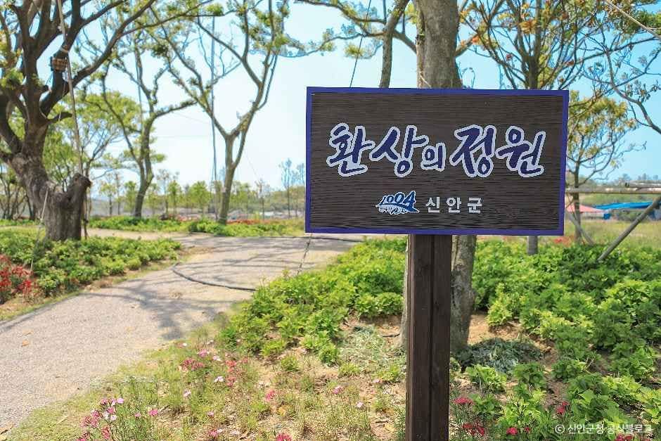 신안_환상의정원 (2).jpg