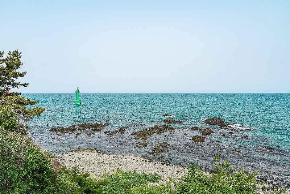 경주_경주 양남 주상절리군 (1).jpg