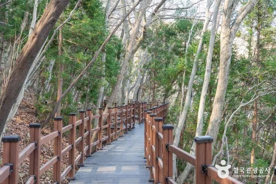 경남_거제_거제 치유의 숲_외부_02.jpg