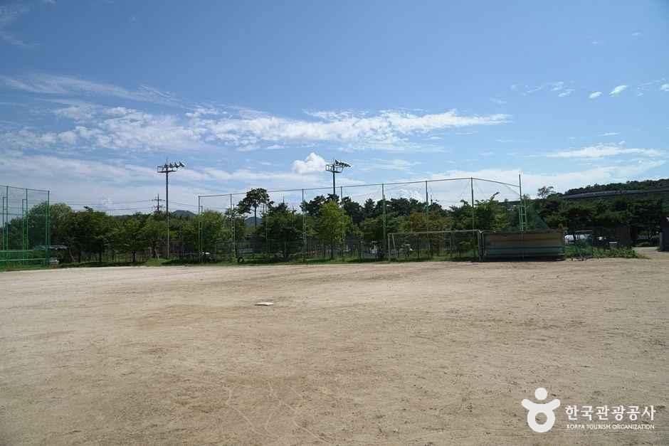 조안면체육공원 (7).JPG