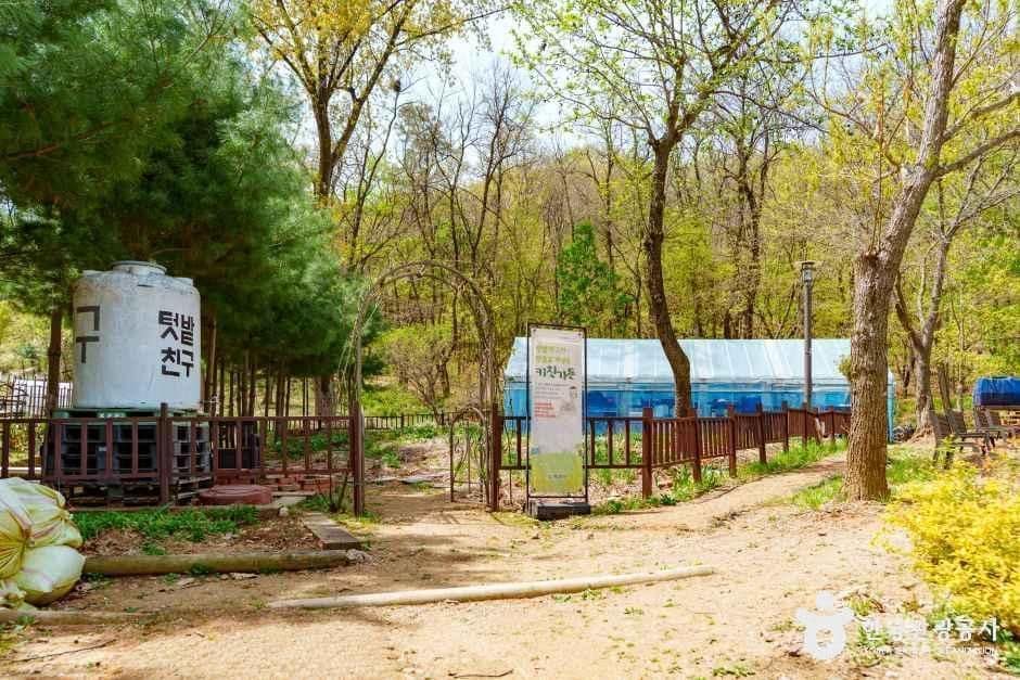 서울_양천도시농업공원 (5).jpg