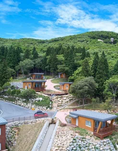 완도_완도자연휴양림 (1).jpg