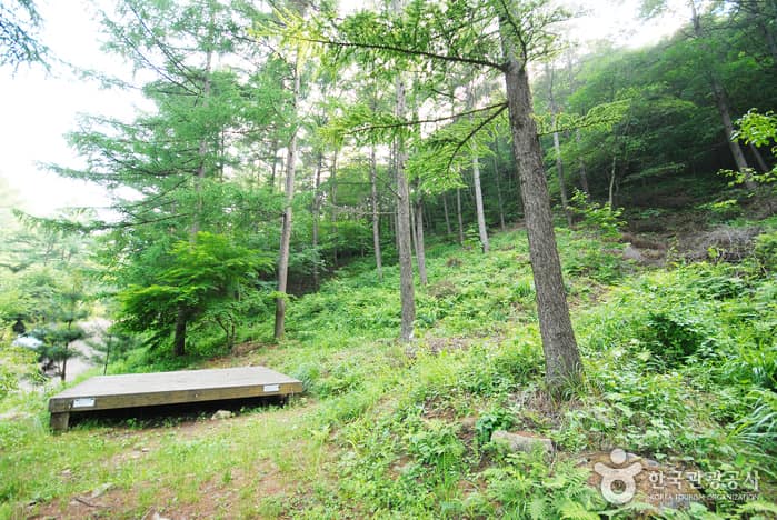 중미산자연휴양림_02