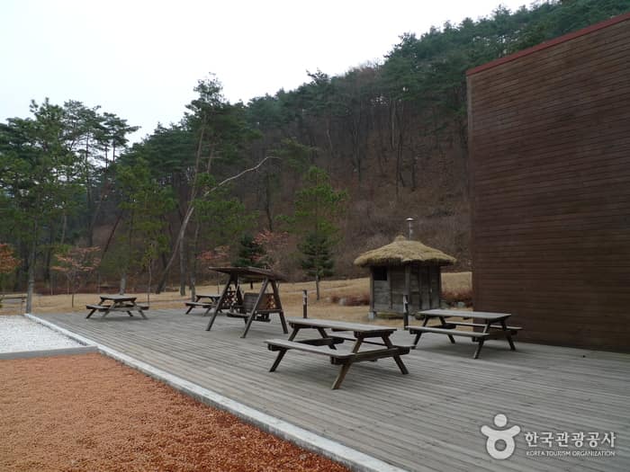 충북 보은 솔향공원 (9)
