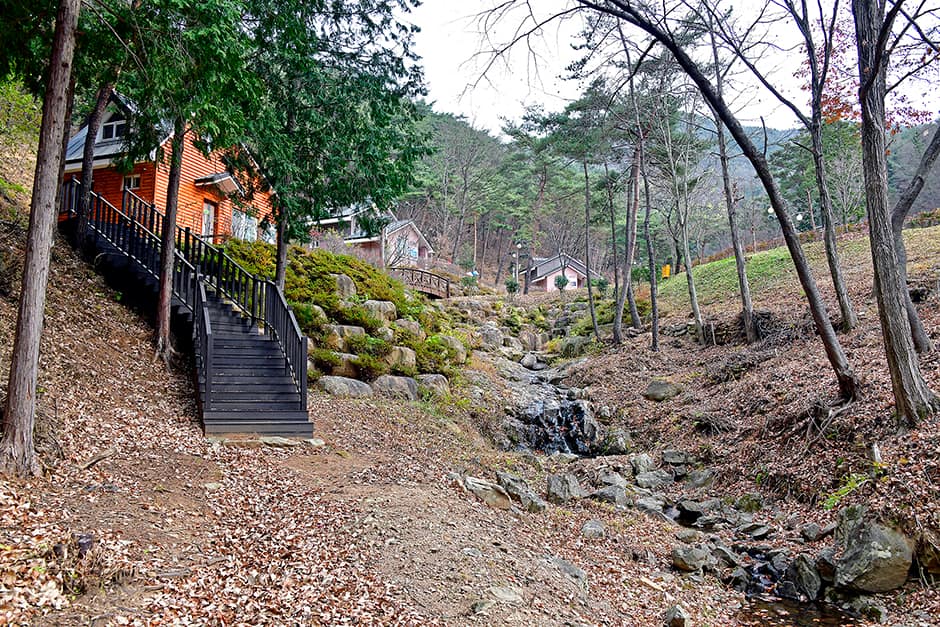 순천국민여가캠핑장_전경2