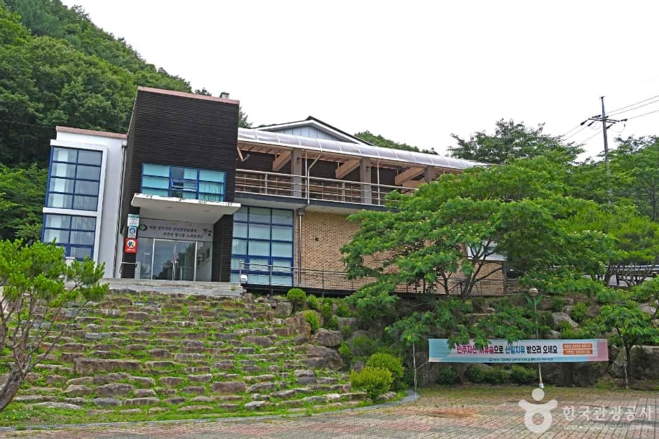 민주지산 자연휴양림 (7)