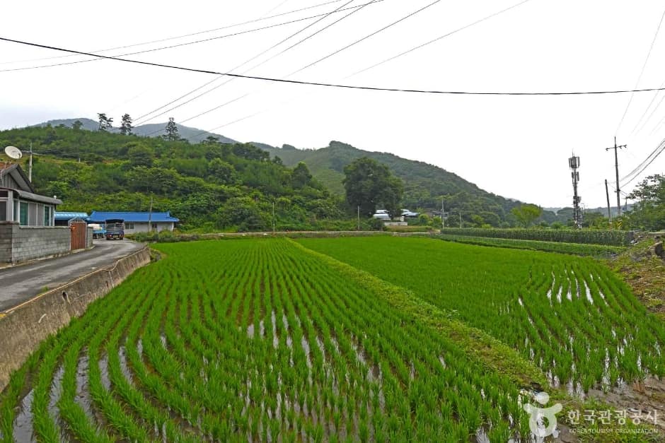 멍딩이마을 (5)