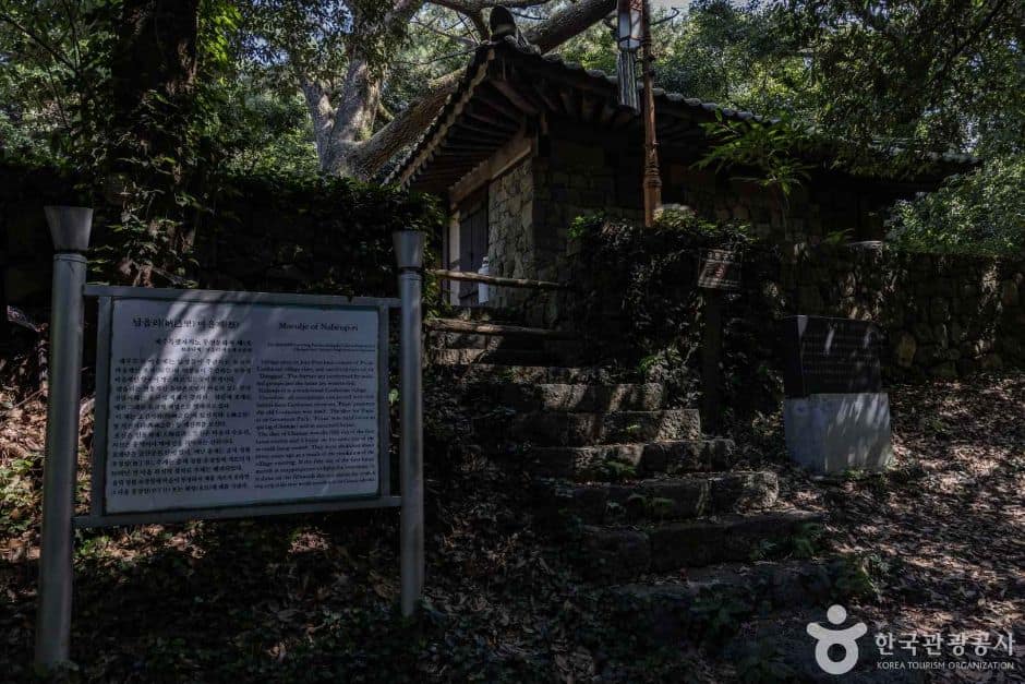 제주_금산공원(납읍난대림지대) (10)