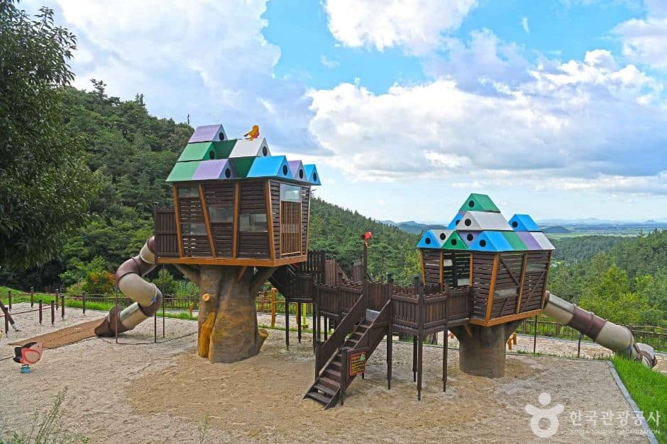 영암_기찬 자연휴양림 (2)