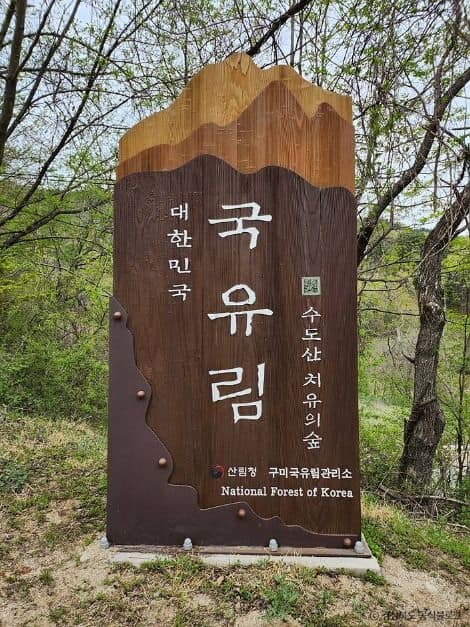 김천_국립김천치유의숲 (1)