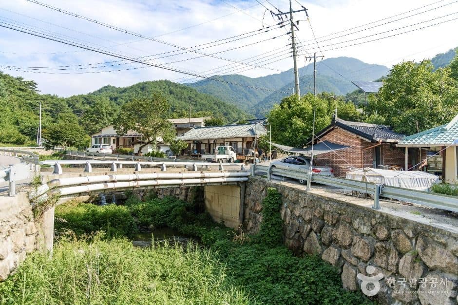 봉화_춘양목송이마을 (2)