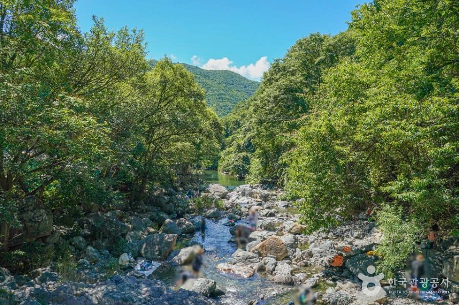 양산_배내골 (2)