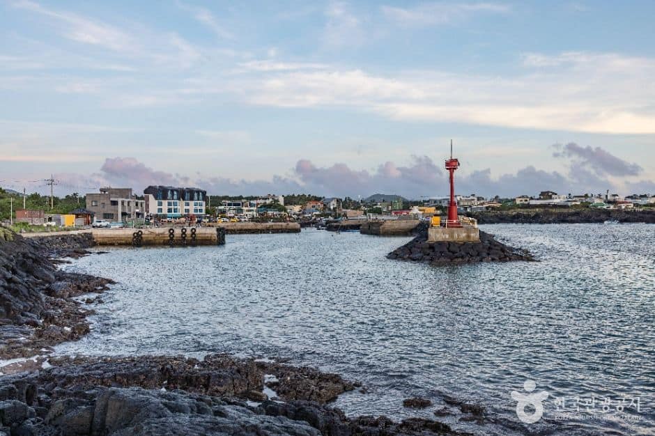 제주_월령포구 (6)
