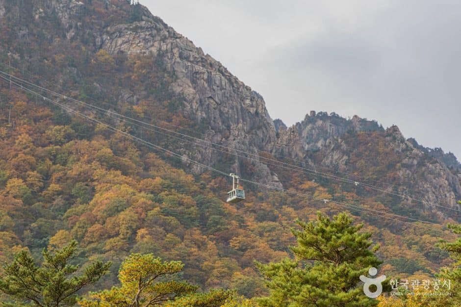 속초_설악산 케이블카 (1)